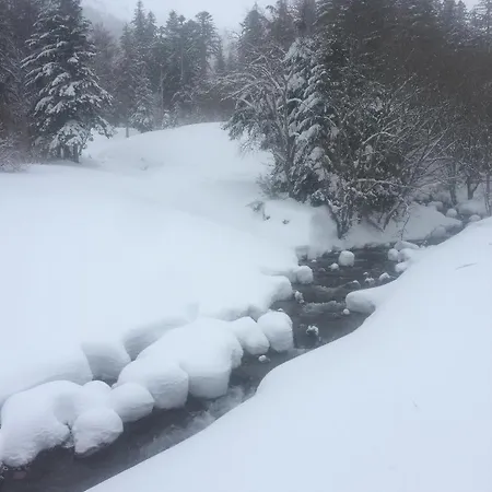 Apartment Bel Du Sancy Le Mont-Dore