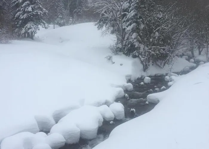 Apartment Bel Du Sancy Le Mont-Dore